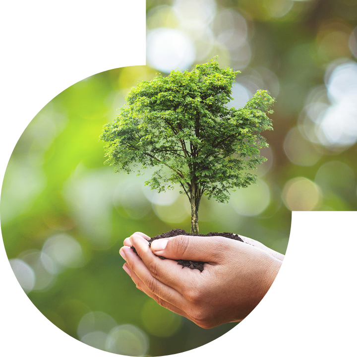 关怀人类、文化、环境与社会